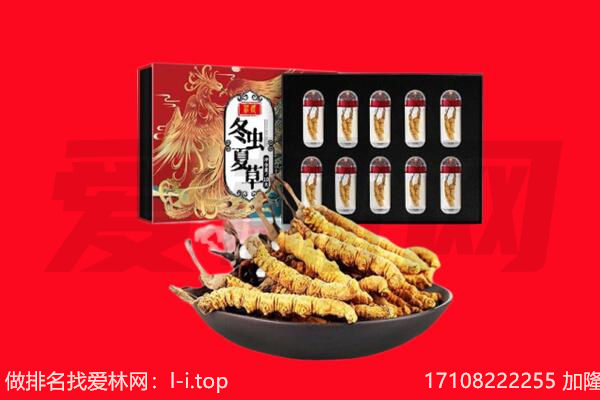 路北区虫草回收